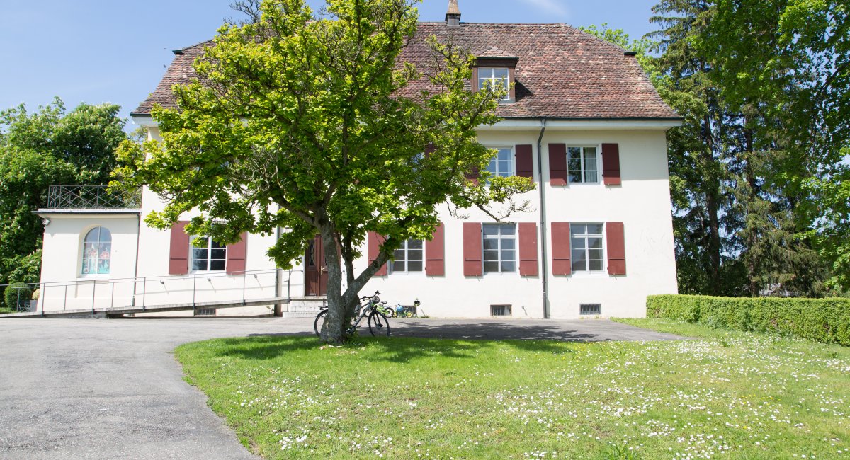 Weisses Haus mit Ziegeldach und roten Fensterläden, davor ein Baum und eine Wiese