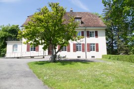 Weisses Haus mit Ziegeldach und roten Fensterläden, davor ein Baum und eine Wiese