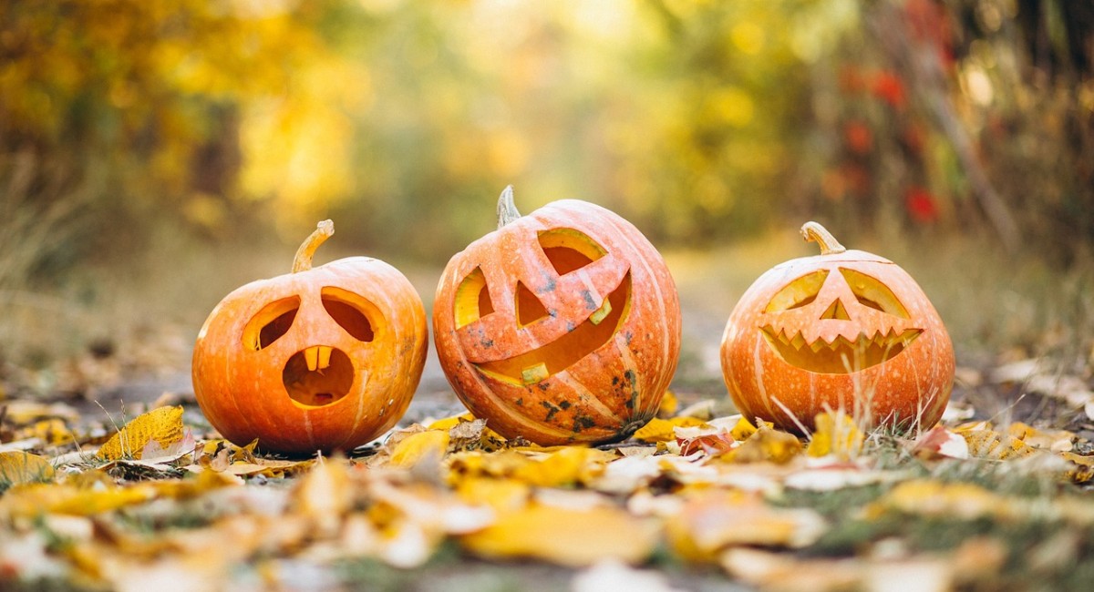 /assets/1-img/content/herbstferien.jpg